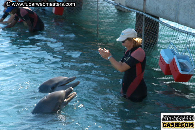 Encounter the Dolphins 2003