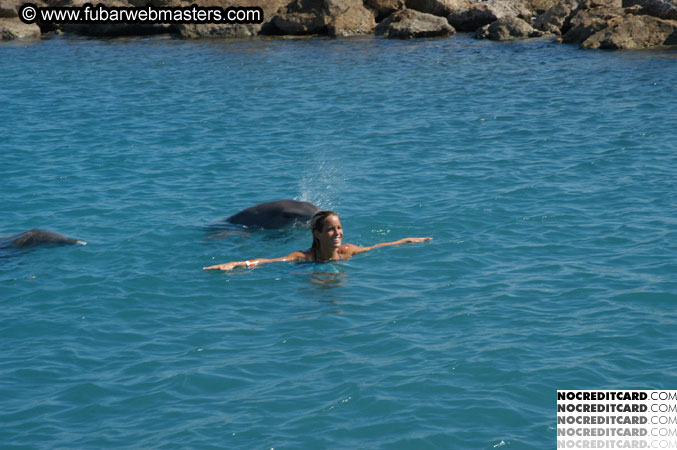 Encounter the Dolphins 2003