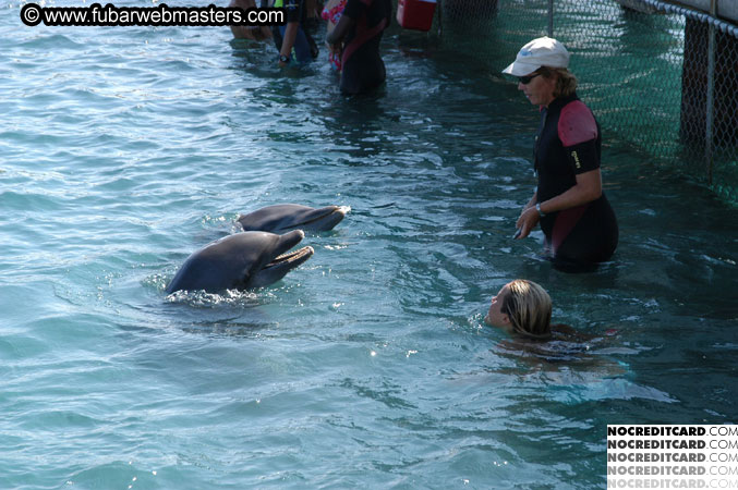 Encounter the Dolphins 2003