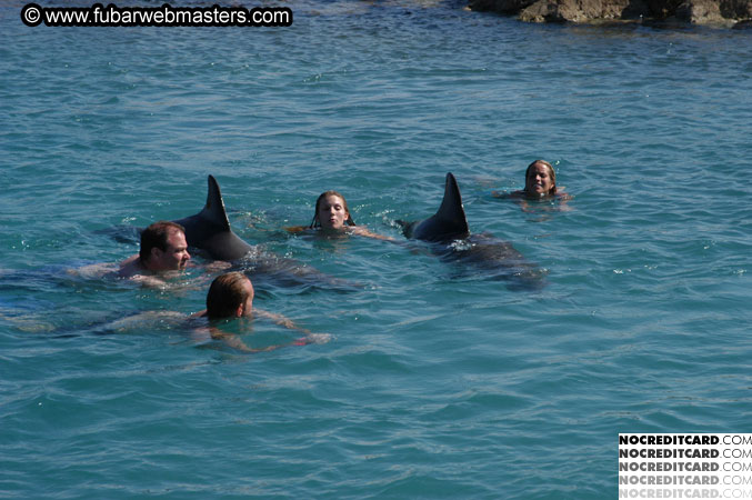 Encounter the Dolphins 2003