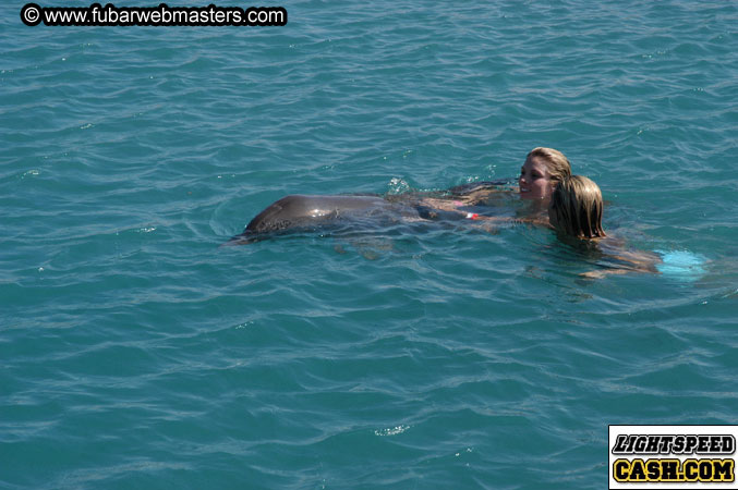 Encounter the Dolphins 2003