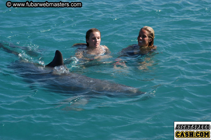 Encounter the Dolphins 2003