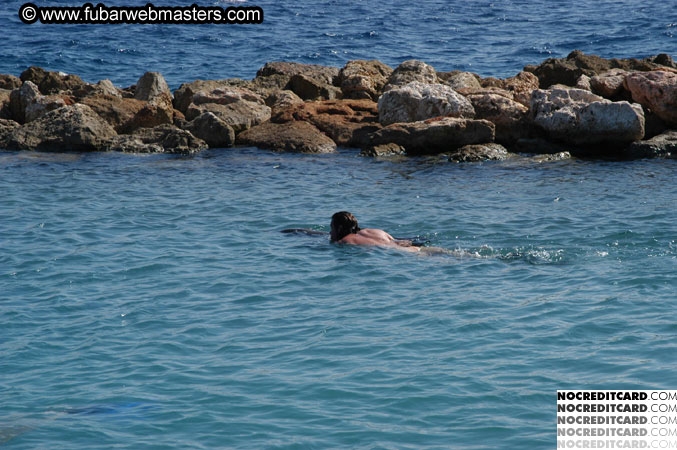 Encounter the Dolphins 2003