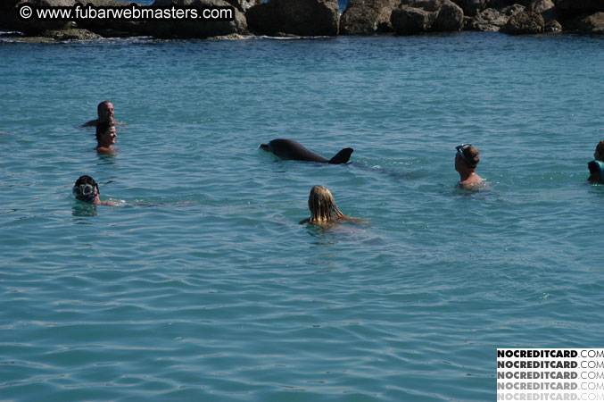 Encounter the Dolphins 2003