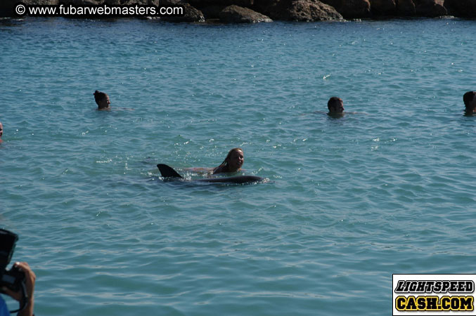 Encounter the Dolphins 2003