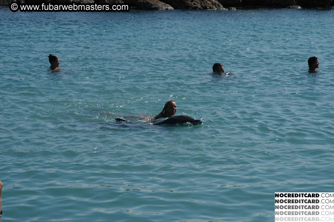 Encounter the Dolphins 2003