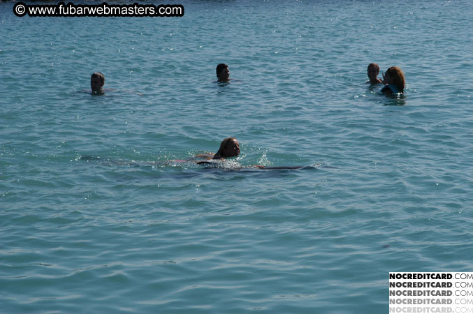 Encounter the Dolphins 2003