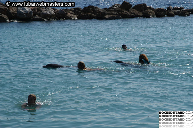 Encounter the Dolphins 2003