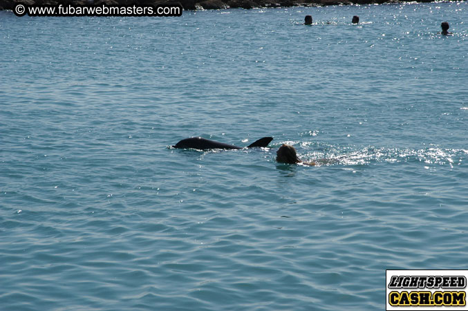 Encounter the Dolphins 2003