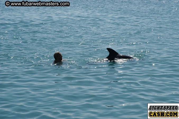 Encounter the Dolphins 2003