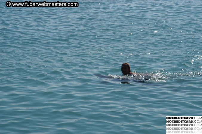 Encounter the Dolphins 2003