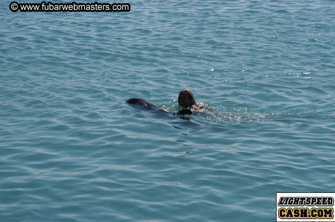 Encounter the Dolphins 2003