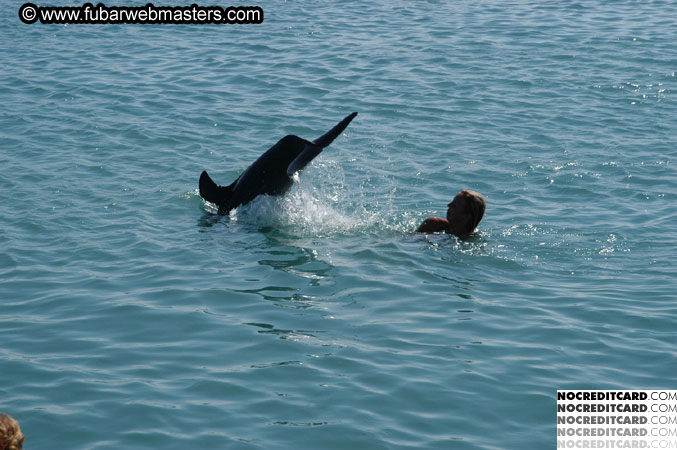 Encounter the Dolphins 2003