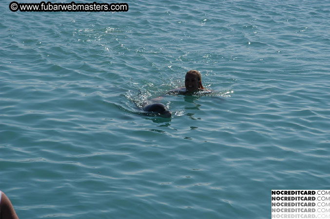 Encounter the Dolphins 2003