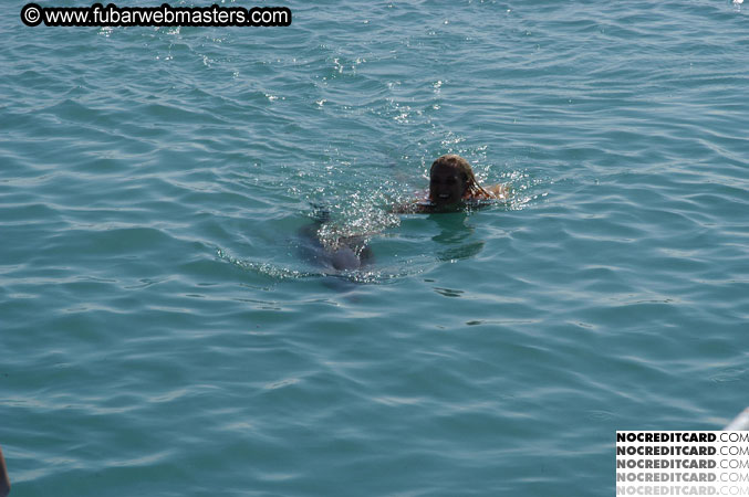 Encounter the Dolphins 2003