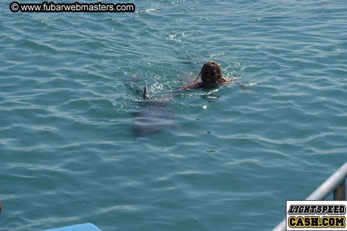 Encounter the Dolphins 2003