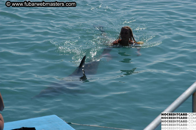 Encounter the Dolphins 2003