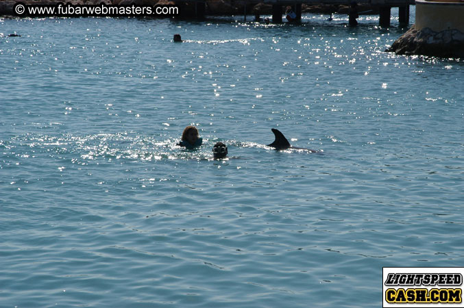 Encounter the Dolphins 2003