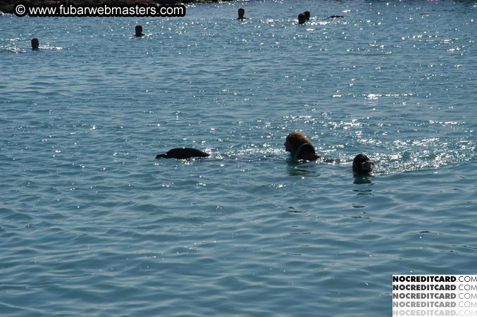 Encounter the Dolphins 2003