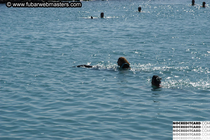 Encounter the Dolphins 2003