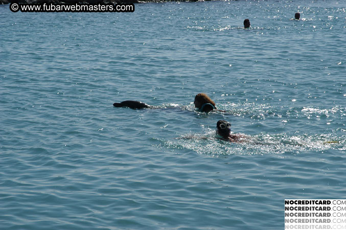 Encounter the Dolphins 2003