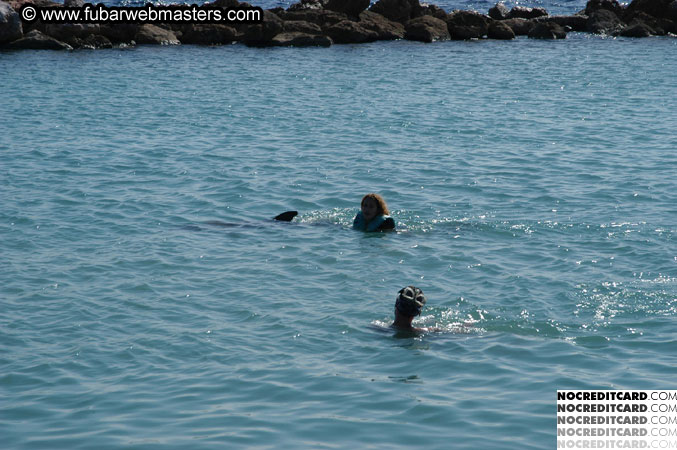 Encounter the Dolphins 2003