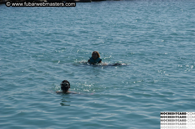 Encounter the Dolphins 2003