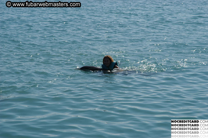 Encounter the Dolphins 2003