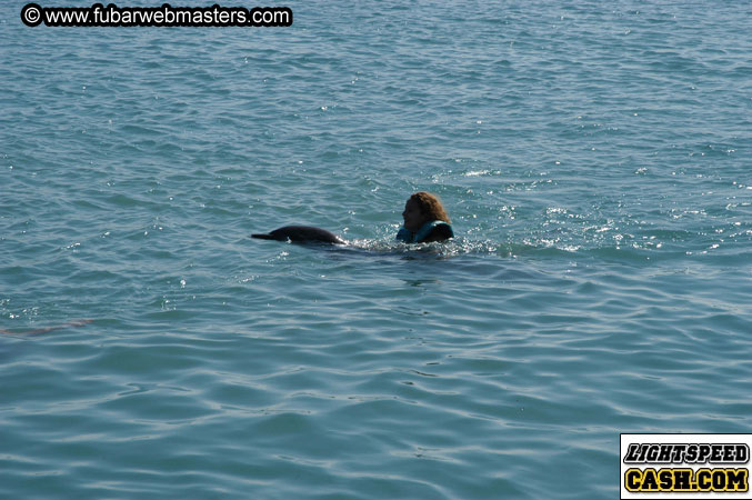 Encounter the Dolphins 2003