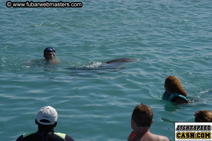 Encounter the Dolphins 2003