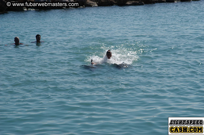 Encounter the Dolphins 2003