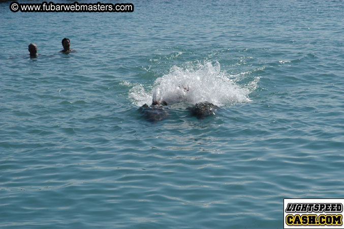 Encounter the Dolphins 2003