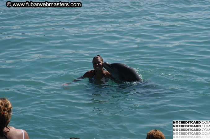 Encounter the Dolphins 2003