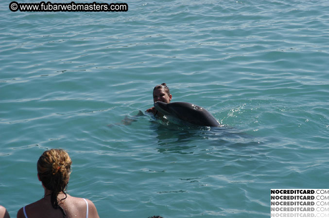 Encounter the Dolphins 2003