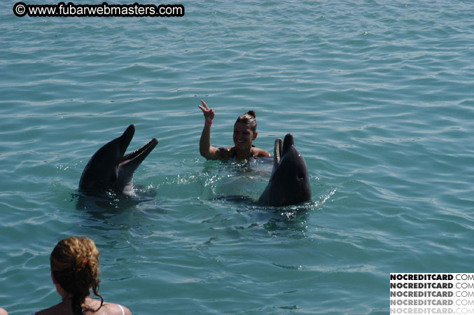 Encounter the Dolphins 2003