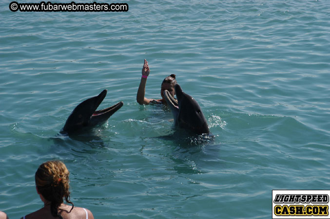 Encounter the Dolphins 2003