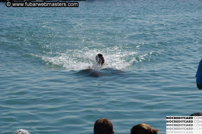 Encounter the Dolphins 2003