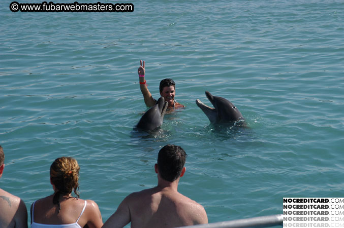 Encounter the Dolphins 2003