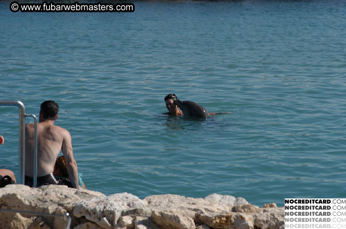 Encounter the Dolphins 2003