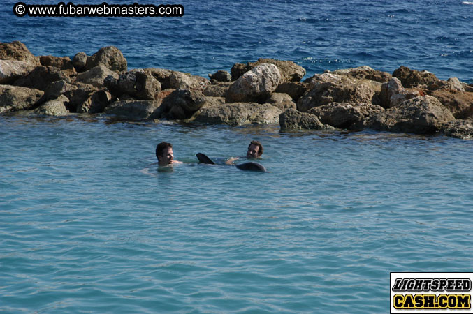 Encounter the Dolphins 2003