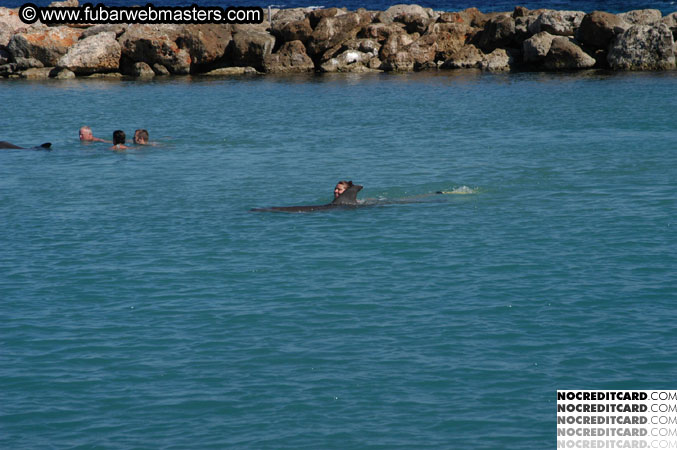 Encounter the Dolphins 2003