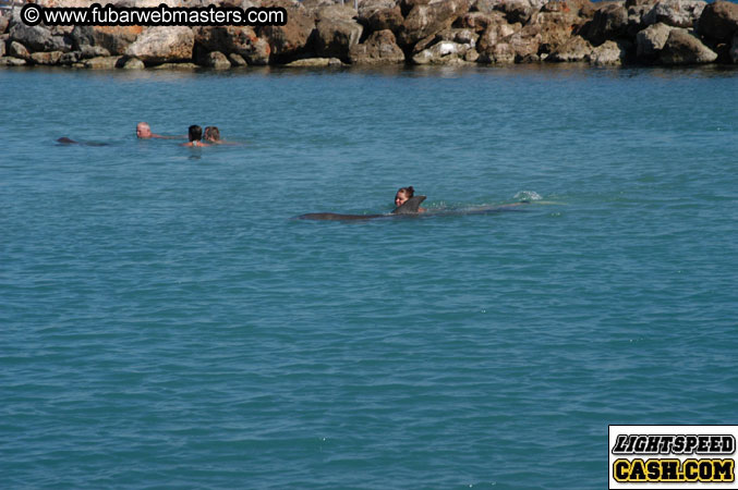 Encounter the Dolphins 2003