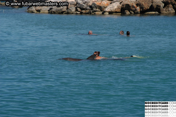 Encounter the Dolphins 2003