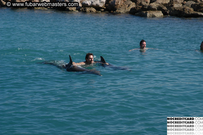 Encounter the Dolphins 2003