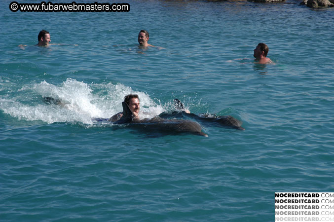 Encounter the Dolphins 2003