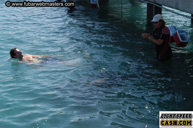 Encounter the Dolphins 2003