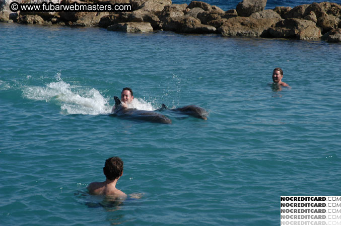 Encounter the Dolphins 2003