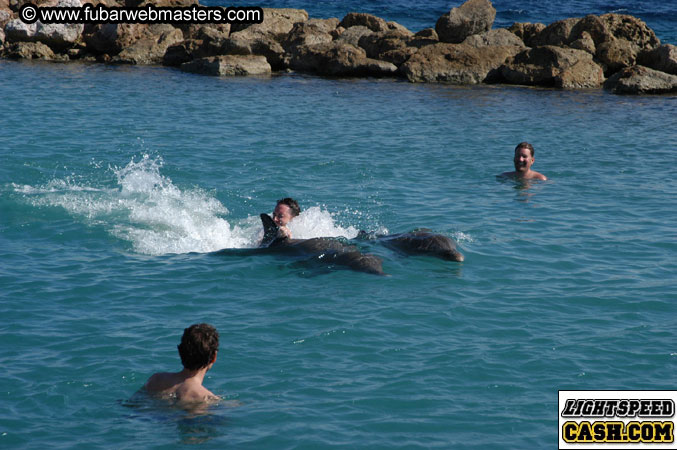 Encounter the Dolphins 2003