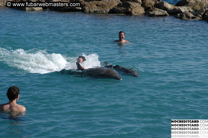 Encounter the Dolphins 2003
