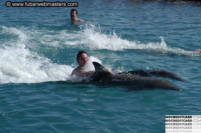 Encounter the Dolphins 2003